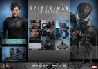 Spider-Man (Black Suit) (Special Edition) (Prototype Shown) View 18