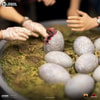 Dino Hatching (Prototype Shown) View 4