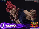 Akuma (Prototype Shown) View 20