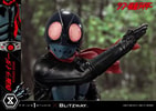 Masked Rider View 3