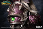 Sylvanas Windrunner (Prototype Shown) View 15