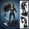 Superman Black & Silver Version (Prototype Shown) View 2