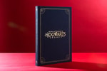 The Art and Making of Hogwarts Legacy View 2
