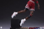 Michael Jordan (Prototype Shown) View 19