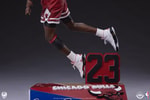 Michael Jordan (Prototype Shown) View 22