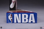 Michael Jordan (Prototype Shown) View 24