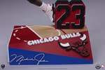 Michael Jordan (Prototype Shown) View 25