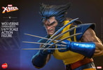 Half-body shot of Wolverine (Unmasked), slightly leaning forward with claws crossed in front of his chest. (Prototype Shown) View 14