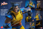 Multiple portraits of Wolverine (Unmasked) showcasing various expressions and headsculpts, along with details of the contents included in the box. (Prototype Shown) View 23