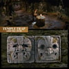 Temple Trap Version 2 Wall Decor (Prototype Shown) View 5