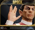 Spock (Prototype Shown) View 4