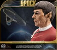 Spock (Prototype Shown) View 14