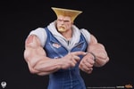 Guile Collector Edition (Prototype Shown) View 18