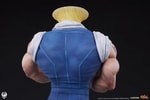 Guile Collector Edition (Prototype Shown) View 21