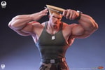 Guile Deluxe Edition (Prototype Shown) View 23