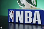 Larry Bird (Prototype Shown) View 15