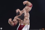 Zangief Collector Edition (Prototype Shown) View 14