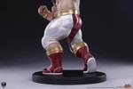 Zangief Collector Edition (Prototype Shown) View 18