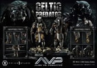 Celtic Predator (Prototype Shown) View 7
