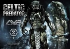 Celtic Predator (Prototype Shown) View 22