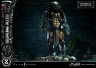 Celtic Predator (Bonus Version) (Prototype Shown) View 14