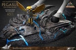 Pegasus 2.0 Deluxe (Prototype Shown) View 8