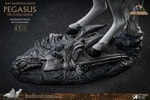 Pegasus 2.0 Deluxe (Prototype Shown) View 18