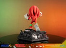 Knuckles Standoff (Prototype Shown) View 12
