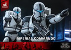 Action shot of Imperial Commando™ pointing forward with his left hand while holding his blaster rifle in his right, with another trooper behind him. (Prototype Shown) View 14