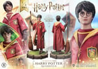 Harry Potter (Quidditch Edition) (Prototype Shown) View 8