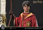 Harry Potter (Quidditch Edition) (Prototype Shown) View 16