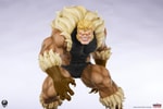 Sabretooth (Classic Edition) (Prototype Shown) View 11