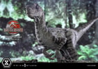 Velociraptor Female Collector Edition (Prototype Shown) View 23