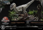 Velociraptor Female Collector Edition (Prototype Shown) View 24