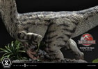 Velociraptor Female Collector Edition (Prototype Shown) View 28