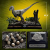 Velociraptor Female Collector Edition (Prototype Shown) View 2