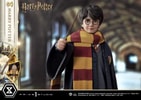 Harry Potter (Prototype Shown) View 3