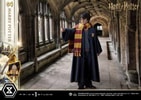 Harry Potter (Prototype Shown) View 4