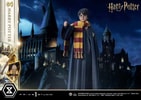 Harry Potter (Prototype Shown) View 8