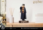 Harry Potter (Prototype Shown) View 15