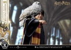 Harry Potter With Hedwig (Prototype Shown) View 4