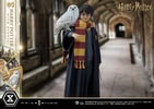 Harry Potter With Hedwig (Prototype Shown) View 16