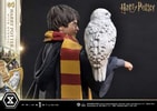 Harry Potter With Hedwig (Prototype Shown) View 23