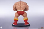Zangief & Gen (Prototype Shown) View 20
