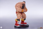 Zangief & Gen (Prototype Shown) View 21