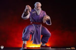 Zangief & Gen (Prototype Shown) View 26