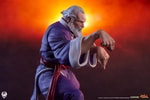 Zangief & Gen (Prototype Shown) View 28