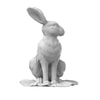 Water Rabbit (Prototype Shown) View 8