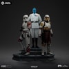 Grand Admiral Thrawn (Prototype Shown) View 13