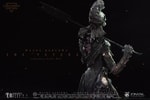 The Veteran (Centurion Edition) Collector Edition (Prototype Shown) View 7